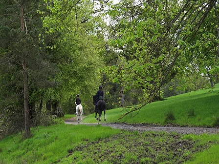 Irish Castle Escape